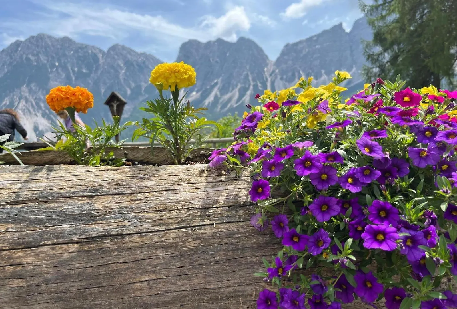 Dafne Dolomites Apartment Cibiana