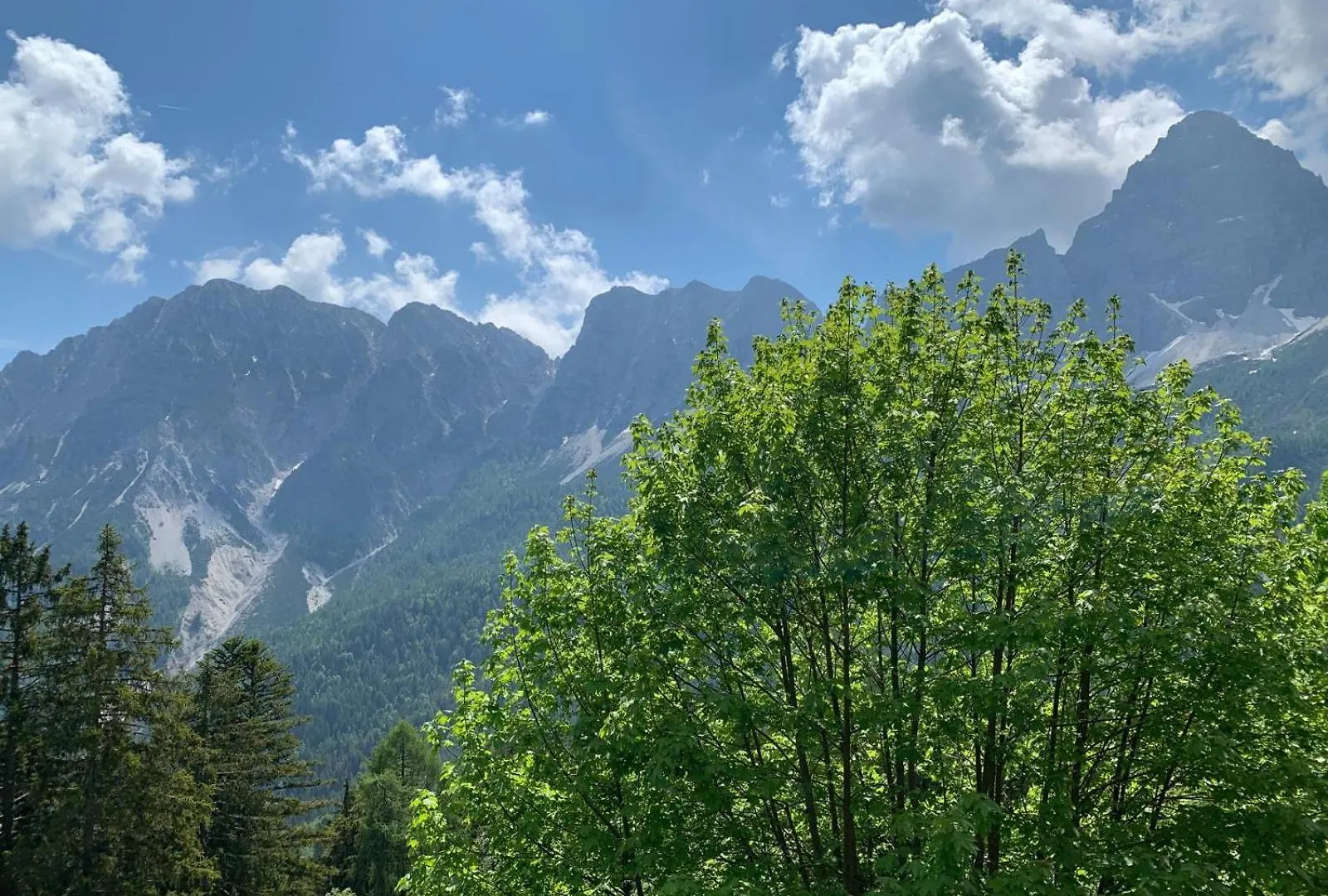 Dafne Dolomites Apartment Cibiana Italy